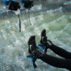 Zorb Ball (Human Hamster Ball) - TPU Material - Image 4